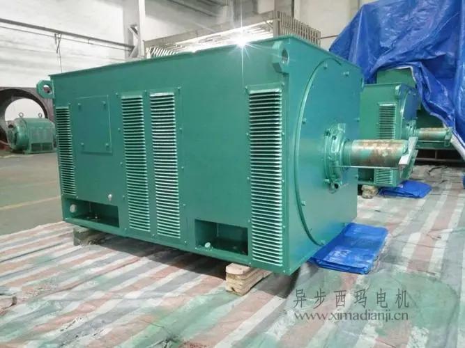 西瑪電機Y5603-10 560KW <a href=http://www.dfxhq.cn/new/new-47-621.html target='_blank'><a href=http://www.dfxhq.cn/new_tags_225.html target='_blank'>10kv高壓電機</a></a>